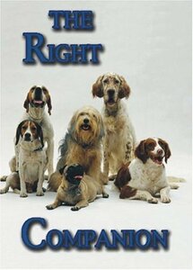 The Right Companion [DVD](中古品)