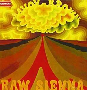 Raw Sienna(中古品)