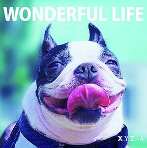 WONDERFUL LIFE(豪華盤)(中古品)