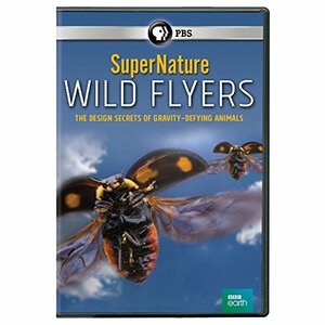 Supernature: Wild Flyers [DVD] [Import](中古品)