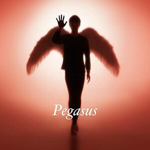 Pegasus (通常盤)(中古品)