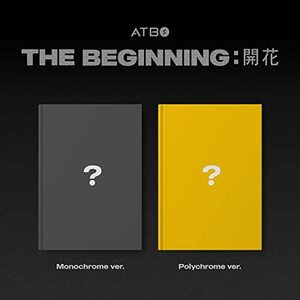 The Beginning : 開花(韓国盤)(中古品)