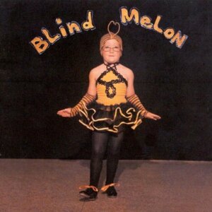 Blind Melon(中古品)