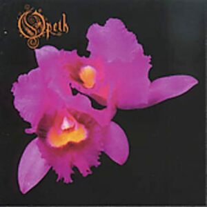 Orchid(中古品)