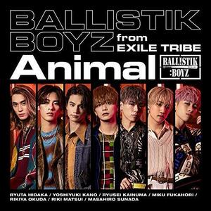 Animal(CD)(中古品)