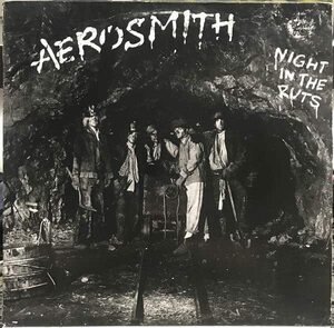 Night In The Ruts(中古品)