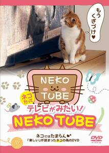 ネコだってテレビがみたい NEKO TUBE IPMD-008 [DVD](中古品)