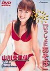 山川恵里佳「もっと いっしょにあそぼ」 [DVD](中古品)