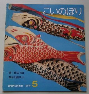 付録付き/こいのぼり　かがくのとも(5)　194号　英伸三(写真)　長谷川摂子(文)　1985年