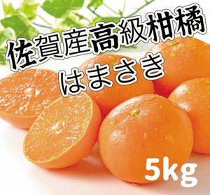 佐賀産　高級　みかん　はまさき　ミカン秀品 糖度12.5 JA唐津約5kg