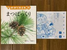 かがくのとも★560号　まつぼっくり★菅原久夫　ぶん / 大島加奈子　え★折り込みふろく_画像1