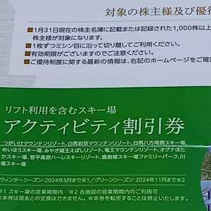 ★日本駐車場開発 株主優待券★アクティビティ割引券3枚セット★ウィンターシーズン：2024年5月まで グリーンシーズン：11月まで★の画像2