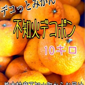 熊本県産（農家直送）家庭用デコポン（不知火）約10kg（送料無料）