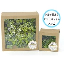 草原を切り取ったようなフレームタイプの 人工観葉植物 卓上 壁掛 15.5×12.5×高さ15.5cm ナチュラル 空気を綺麗にする CT触媒 消臭_画像6