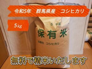 令和5年群馬県産コシヒカリ 5Kg