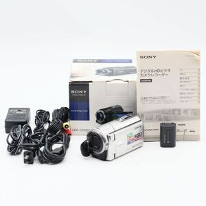 【良品】ソニー SONY Handycam HDR-CX590V シルバー #1194