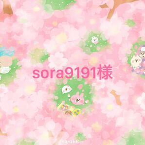 sora9191様専用