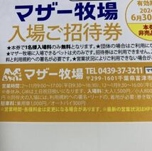 送料込　マザー牧場 ご招待券2枚 招待券 ２枚　ペア　入園　ご招待券　招待券　無料券　有効期限2024年6月30日　千葉_画像2