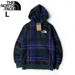 1円～!売切!【正規新品】THE NORTH FACE◆W HOLIDAY HOODIE パーカー US限定 上質 男女兼用 裏起毛 ロゴ刺繍(L)青 緑 チェック柄 181130-35の画像3