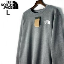 1円～!売切!【正規新品】THE NORTH FACE◆LOGO PULLOVER CREW トレーナー スウェット US限定 裏起毛 登山 男女兼用(L)グレー 181130-22_画像1