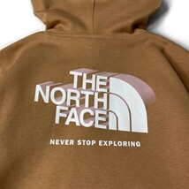 1円～!売切!【正規新品】THE NORTH FACE BOX NSE PULLOVER HOODIE パーカー グラフィック 2023最新 US限定 男女兼用 保温(XXL)茶 181130-30_画像4