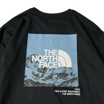 1円～!売切!【正規新品】THE NORTH FACE◆L/S LOGO PLAY 長袖 Tシャツ ロンT US限定 袖ロゴ ヒマラヤ 落描き風 キャンプ(M)黒 180902-20_画像4