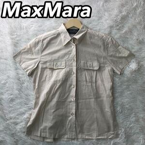 MaxMara WEEKENDLINE マックスマラ ウィークエンドライン シャツ 半袖 カットソー レディース 女性 M クリーム色 