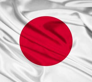 Бесплатная доставка Hinomaru Japan Flag Япония Большой размер Большой размер приблизительно 90 × 150 см. Выпускной церемония Кубка мира рекомендуется для сборной Японии.