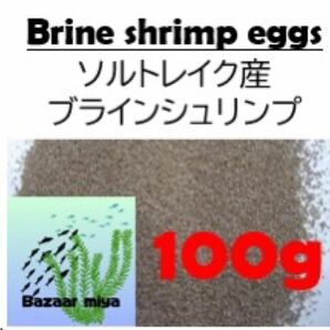 ソルトレイク産ブラインシュリンプエッグ 100g