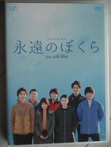 ☆DVD　永遠のぼくら sea side blue 　有村架純 山﨑賢人 浅香航大 清野菜名 矢本悠馬 成海璃子 東出昌大 窪田正孝_画像1