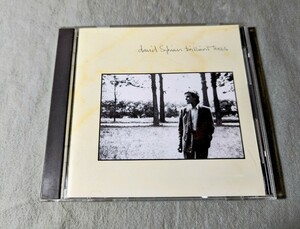 David Sylvian『Brilliant Trees』国内盤 デイヴィッド・シルヴィアン