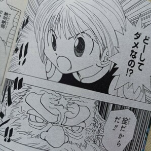 HUNTER×HUNTER★0巻★クラピカ追憶編★劇場版★入場者特典★冨樫義博★集英社★ハンター×ハンターの画像8