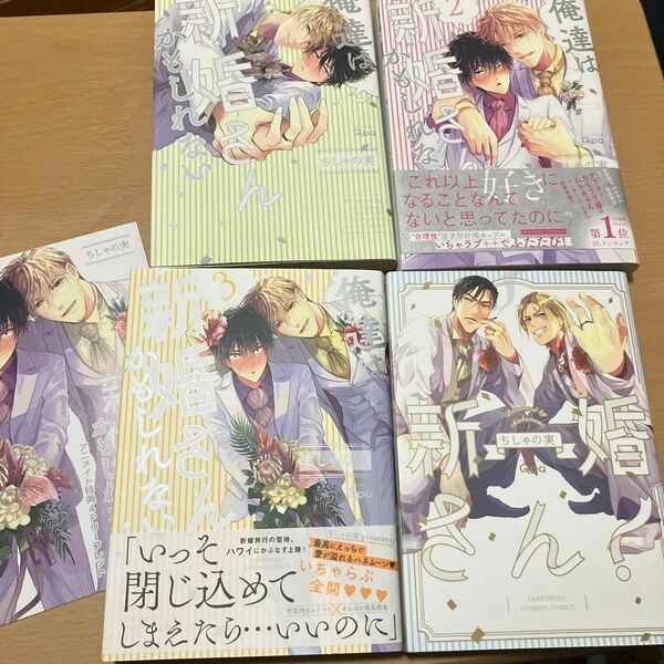 俺達は新婚さんかもしれない/ちしゃの実1〜3巻新婚さん！の4冊セット