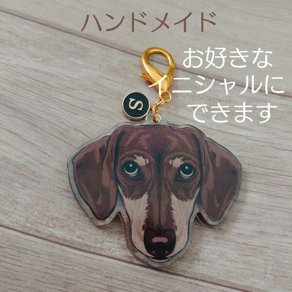 《限定１点》ダックスフントのアクリルキーホルダー イニシャル付 チョコレート&タン ハンドメイド 犬