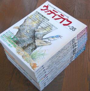 ウッディライフ10冊/No.35,38,44,46,48,50,51,57,59,60/1989年3月～1994年12月発行/山と渓谷社/定価1500円