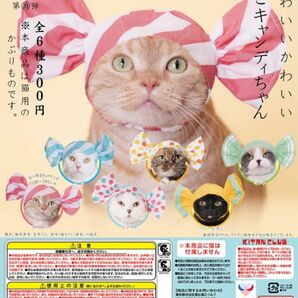 ねこのかぶりもの 第19弾 ねこキャンディちゃん ソーダキャンディ