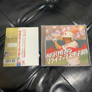 CD＋DVD 柳沢慎吾のクライマックス甲子園!!