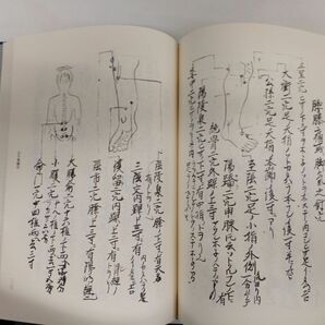 臨床実践 鍼灸流儀書集成／全6巻／計6冊まとめセットの画像4