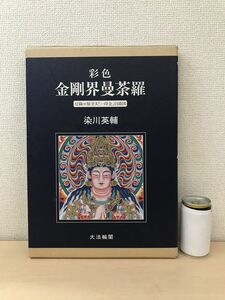 彩色　金剛界曼荼羅　染川英輔／著　大法輪閣付録　【原寸大「一印会」白描図付】