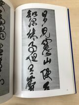 傅山の書法　山内観／編　二玄社_画像5