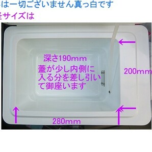 あると便利/車載用,12V仕様,冷温蔵,ains クーラーボックス&ホット機能付,使用頻度少ない良品、綺麗、中型サイズ,離島地域は発送不可の画像9