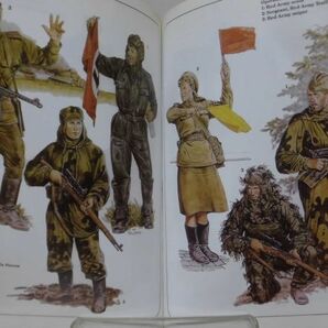 洋書 オスプレイMEN-AT-ARMS SERIES 216 大祖国戦争の赤軍 1941-45 The Red Army of the Great Patriotic War 1941-45[1]B1797の画像5