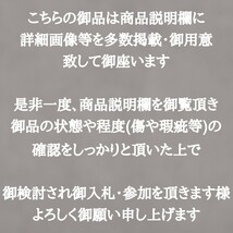 AKA.Re《中国 唐物》中國宣興 紫砂壷 急須 茶壷 小振 薄胎 多孔 宣興紫砂 中国宣興 中國煎茶器 中国煎茶器 煎茶道具 荊渓恵孟臣 具輪珠_画像2