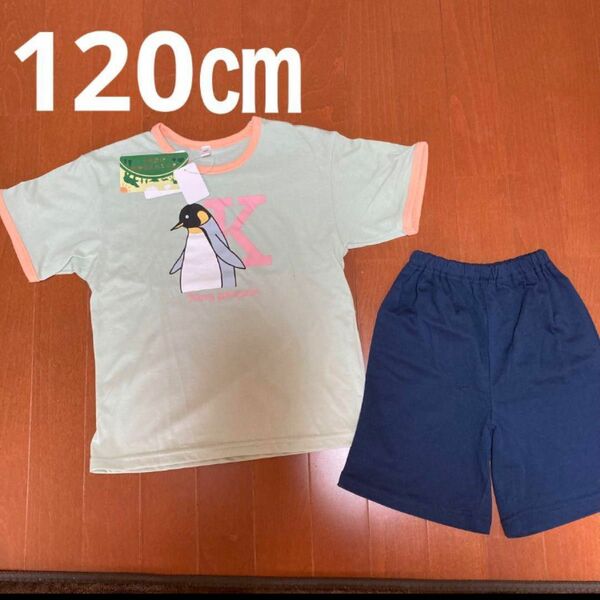 男の子　120㎝　半袖パジャマ　旭山動物園　ペンギン新品