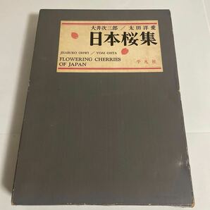 日本桜集 FLOWERING CHERRIES OF JAPAN 太田洋愛 大井次三郎 平凡社 1973年発行 初版 画集 作品集 さくら集 櫻集の画像1