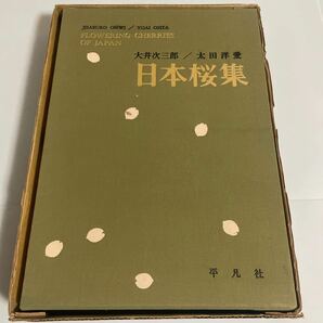 日本桜集 FLOWERING CHERRIES OF JAPAN 太田洋愛 大井次三郎 平凡社 1973年発行 初版 画集 作品集 さくら集 櫻集の画像2