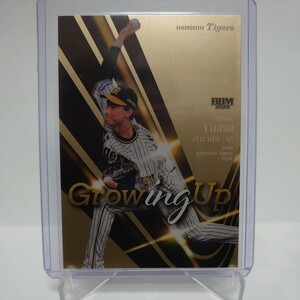 ★良番★2022 BBM 阪神タイガース 200枚限定 湯浅京己 GrowingUp(GU2) #100/200