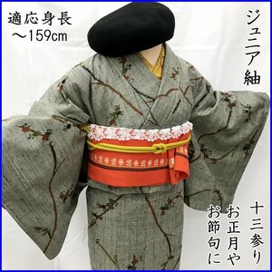 ■ジュニア紬 十三参り 正月 節句 卒業式 初釜 小花文■美品 212aj13