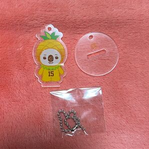 巨人 ジャイアンツ スプリングキャンプ アクリルキーホルダー タイセーブコアラ 大勢選手