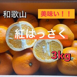 和歌山　紅八朔　訳あり　はっさくなのに酸味が少なく甘さが際立つ　3kg